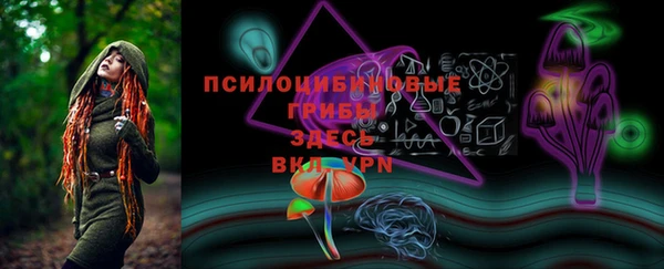 стафф Покачи